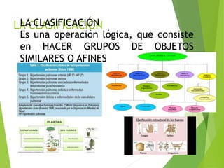 15
LA CLASIFICACIÓNLA CLASIFICACIÓN
Es una operación lógica, que consiste
en HACER GRUPOS DE OBJETOS
SIMILARES O AFINES.
 