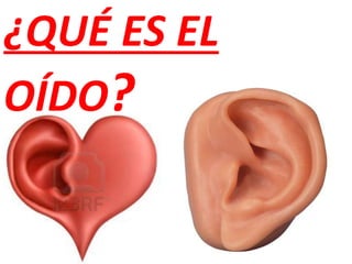 ¿QUÉ ES EL
OÍDO?
 
