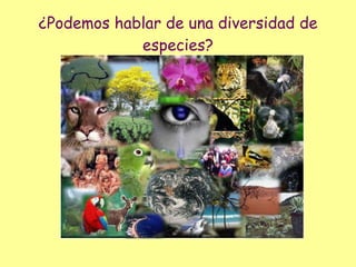 ¿Podemos hablar de una diversidad de especies?