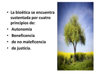 • La bioética se encuentra
sustentada por cuatro
principios de:
• Autonomía
• Beneficencia
• de no maleficencia
• de justicia.
 