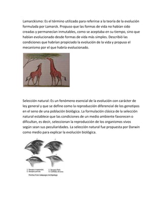 Definición de conceptos