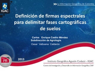Definición de firmas espectrales
para delimitar fases cartográficas
de suelos
2013
Cesar Valbuena Calderón
Carlos Enrique Castro Méndez
Subdirección de Agrología.
 