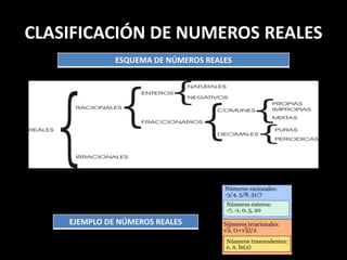 CLASIFICACIÓN DE NUMEROS REALES
ESQUEMA DE NÚMEROS REALES
EJEMPLO DE NÚMEROS REALES
 