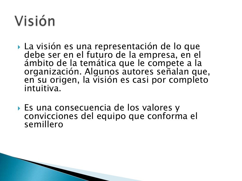 Vision Que Es Vision Que Es