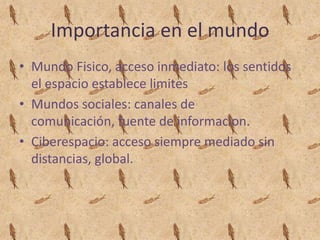 Importancia en el mundoMundo Fisico, acceso inmediato: los sentidos el espacio establece limitesMundos sociales: canales de comunicación, fuente de informacion.Ciberespacio: acceso siempre mediado sin distancias, global.