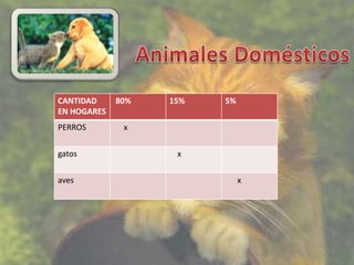 CANTIDAD     80%   15%   5%
EN HOGARES
PERROS        x

gatos               x

aves                          x
 
