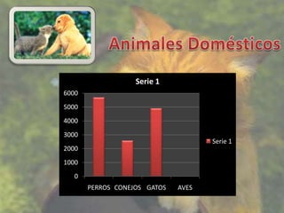 Serie 1
6000
5000
4000
3000
                                     Serie 1
2000
1000
   0
       PERROS CONEJOS GATOS   AVES
 