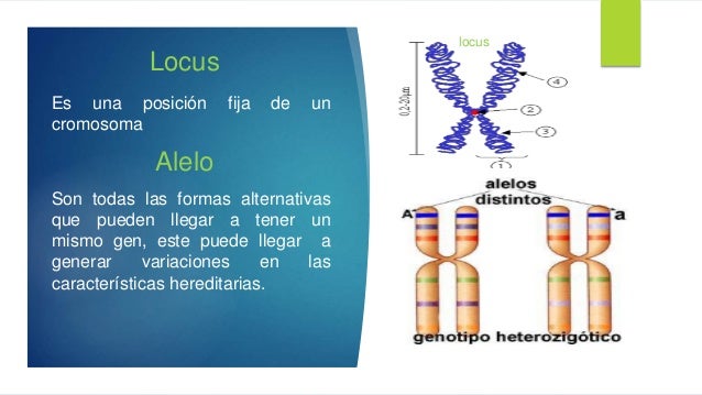 y conducta Definiciones