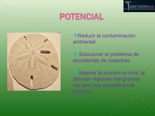 Reducir la contaminación ambiental Solucionar el problema de excedentes de cosechas Mejorar la economía rural, al detonar regiones marginadas del país hoy sumidas en la pobreza.