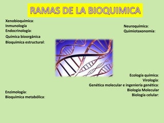 Xenobioquímica:
Inmunología
Endocrinología:
Química bioorgánica
Bioquímica estructural:

Enzimología:
Bioquímica metabólica:

Neuroquímica:
Quimiotaxonomía:

Ecología química:
Virología:
Genética molecular e ingeniería genética:
Biología Molecular
Biología celular:

 