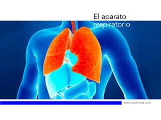 El aparato
respiratorio
Profesor pulmones sanos
 