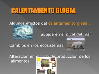 Algunos efectos del calentamiento global:
Subida en el nivel del mar
Cambios en los ecosistemas
Alteración en el ciclo de producción de los
alimentos
 