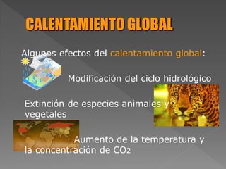 Algunos efectos del calentamiento global:
Modificación del ciclo hidrológico
Extinción de especies animales y
vegetales
Aumento de la temperatura y
la concentración de CO2
 