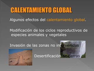 Algunos efectos del calentamiento global.
Modificación de los ciclos reproductivos de
especies animales y vegetales
Invasión de las zonas no intervenidas
Desertificación de tierras
 
