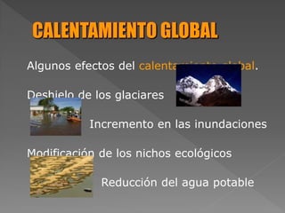 Algunos efectos del calentamiento global.
Deshielo de los glaciares
Incremento en las inundaciones
Modificación de los nichos ecológicos
Reducción del agua potable
 