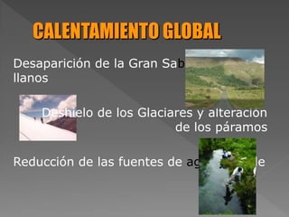 Desaparición de la Gran Sabana y los
llanos
Deshielo de los Glaciares y alteración
de los páramos
Reducción de las fuentes de agua potable
 