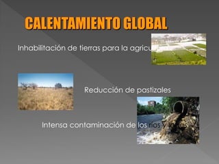 Inhabilitación de tierras para la agricultura
Reducción de pastizales
Intensa contaminación de los ríos y lagos
 