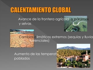 Avance de la frontera agrícola a páramos
y selvas
Cambios climáticos extremos (sequías y lluvias
torrenciales)
Aumento de las temperaturas en los centros
poblados
 