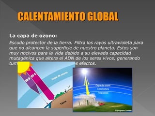 La capa de ozono:
Escudo protector de la tierra. Filtra los rayos ultravioleta para
que no alcancen la superficie de nuestro planeta. Estos son
muy nocivos para la vida debido a su elevada capacidad
mutagénica que altera el ADN de los seres vivos, generando
tumores cancerosos entre otros efectos.
 