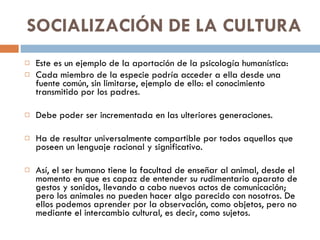SOCIALIZACIÓN DE LA CULTURA  Este es un ejemplo de la aportación de la psicología humanística: Cada miembro de la especie podría acceder a ella desde una fuente común, sin limitarse, ejemplo de ello: el conocimiento transmitido por los padres. Debe poder ser incrementada en las ulteriores generaciones. Ha de resultar universalmente compartible por todos aquellos que poseen un lenguaje racional y significativo. Así, el ser humano tiene la facultad de enseñar al animal, desde el momento en que es capaz de entender su rudimentario aparato de gestos y sonidos, llevando a cabo nuevos actos de comunicación; pero los animales no pueden hacer algo parecido con nosotros. De ellos podemos aprender por la observación, como objetos, pero no mediante el intercambio cultural, es decir, como sujetos. 