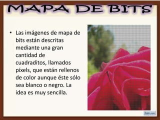 • Las imágenes de mapa de
  bits están descritas
  mediante una gran
  cantidad de
  cuadraditos, llamados
  píxels, que están rellenos
  de color aunque éste sólo
  sea blanco o negro. La
  idea es muy sencilla.
 
