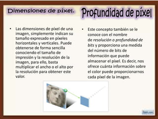 • Las dimensiones de píxel de una      • Este concepto también se le
  imagen, simplemente indican su         conoce con el nombre
  tamaño expresado en píxeles            de resolución o profundidad de
  horizontales y verticales. Puede       bits y proporciona una medida
  obtenerse de forma sencilla
  conociendo el tamaño de                del número de bits de
  impresión y la resolución de la        información que puede
  imagen, para ello, basta               almacenar el píxel. Es decir, nos
  multiplicar el ancho o el alto por     ofrece cuánta información sobre
  la resolución para obtener este        el color puede proporcionarnos
  valor.                                 cada píxel de la imagen.
 