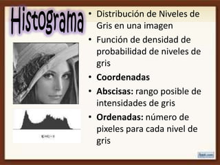 • Distribución de Niveles de
  Gris en una imagen
• Función de densidad de
  probabilidad de niveles de
  gris
• Coordenadas
• Abscisas: rango posible de
  intensidades de gris
• Ordenadas: número de
  pixeles para cada nivel de
  gris
 