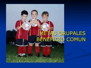METAS GRUPALES BENEFICIO COMUN 
