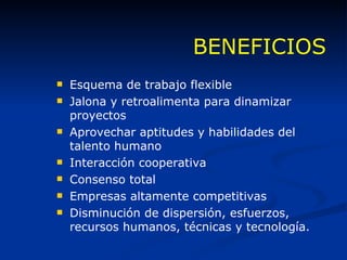 BENEFICIOS Esquema de trabajo flexible Jalona y retroalimenta para dinamizar proyectos Aprovechar aptitudes y habilidades del talento humano Interacción cooperativa Consenso total Empresas altamente competitivas Disminución de dispersión, esfuerzos, recursos humanos, técnicas y tecnología. 