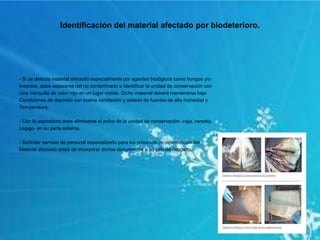 Identificación del material afectado por biodeterioro.
- Si se detecta material afectado especialmente por agentes biológicos como hongos y/o
Insectos, debe separarse del no contaminado e identificar la unidad de conservación con
Una marquilla de color rojo en un lugar visible. Dicho material deberá mantenerse bajo
Condiciones de depósito con buena ventilación y aislado de fuentes de alta humedad y
Temperatura.
- Con la aspiradora debe eliminarse el polvo de la unidad de conservación -caja, carpeta,
Legajo- en su parte externa.
- So/licitar servicio de personal especializado para los procesos de desinfección del
Material afectado antes de incorporar dichos documentos a su sitio de depósito.
 