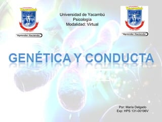 Por: María Delgado
Exp: HPS 131-00196V
Universidad de Yacambú
Psicología
Modalidad: Virtual
 