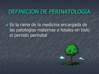 DEFINICION DE PERINATOLOGIA

   Es la rama de la medicina encargada de
    las patologías maternas o fetales en todo
    el período perinatal
 