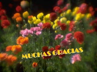 Definiciones   perinatologia