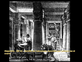 Alejandría. 300 aC. Herófilo de Calcedonia, describio por primera vez el
ovario
 