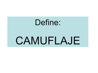 Define: CAMUFLAJE
