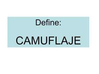 Define:
CAMUFLAJE