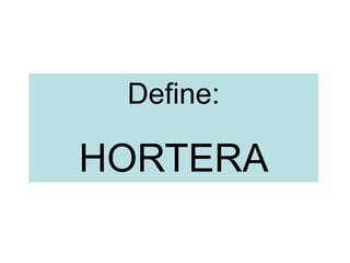 Define:
HORTERA