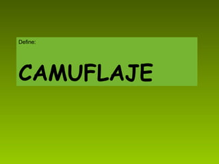 Define: CAMUFLAJE