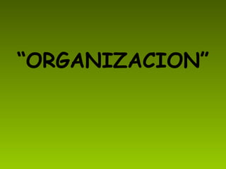 “ ORGANIZACION”
