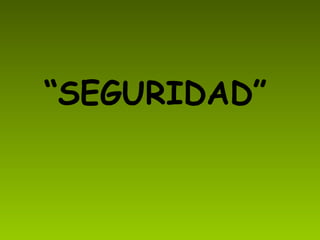 “ SEGURIDAD”