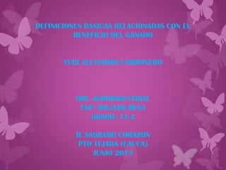 DEFINICIONES BASICAS RELACIONADAS CON EL
BENEFICIO DEL GANADO
YURI ALEJANDRA CARBONERO
ORI. AGROINDUSTRIAL
ESP: WILLIAM MESA
GRADO: 11-2
IE SAGRADO CORAZON
PTO TEJADA (CAUCA)
JUNIO 2013
 