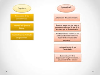 Enseñanza
Transmisión de los
conocimientos
Desarrollo de las Actitudes
y Capacidades
Impartir la Capacidad
Básica.
Aprendizaje
Adquisición del conocimiento.
Trasferencias del control de los
sentidos al control cinético a
través de la coordinación
muscular
Realizar uno a uno los paso a
paso para cada uno de las de la
acciones que se desea ejecutar.
Automatización de las
Capacidades
Generalización de la
Capacidades progresivamente a
un dominio de las mismas
 