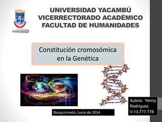 UNIVERSIDAD YACAMBÚ
VICERRECTORADO ACADÉMICO
FACULTAD DE HUMANIDADES
Constitución cromosómica
en la Genética
Autora: Yenny
Rodríguez
V-13.777.778Barquisimeto, Junio de 2014
 