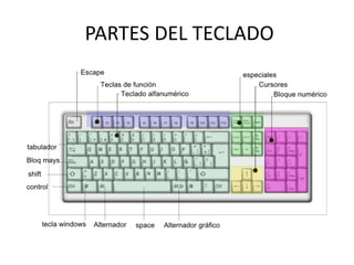 PARTES DEL TECLADO