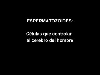 ESPERMATOZOIDES:

Células que controlan
el cerebro del hombre
 