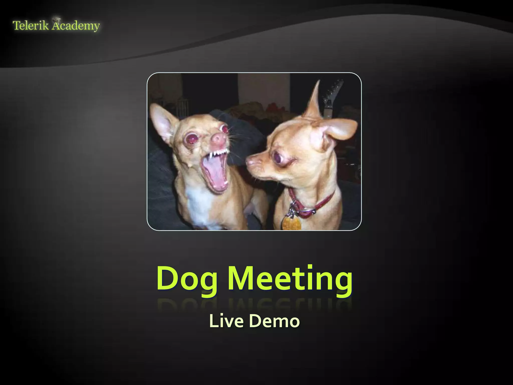 Dog Meeting
  Live Demo
 