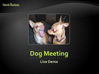 Dog Meeting
  Live Demo
 