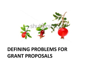 DEFINING PROBLEMS FOR 
GRANT PROPOSALS 
 