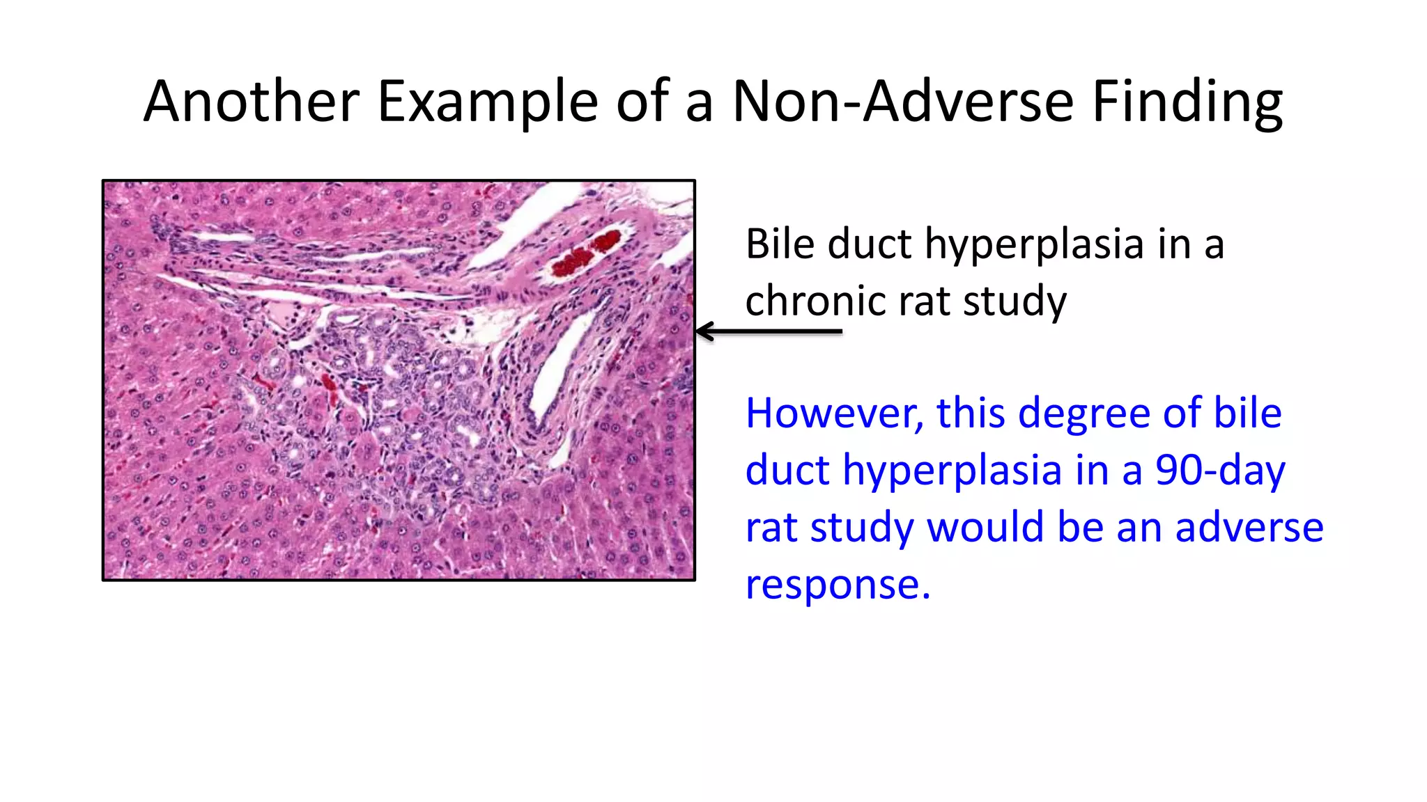 Defining adverse non adverse and adaptive responses in safety:risk ...