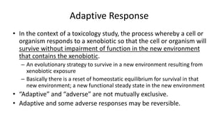 Defining adverse non adverse and adaptive responses in safety:risk ...